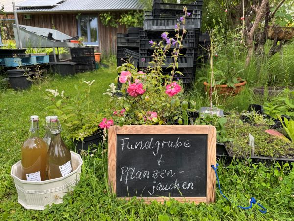 Fundgrube mit Pflanzen und Jauchen