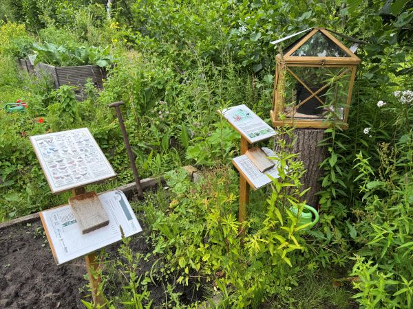 Schmetterlings-Garten